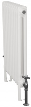 Enderby 2 Column Steel Radiator 710mm 10 Section